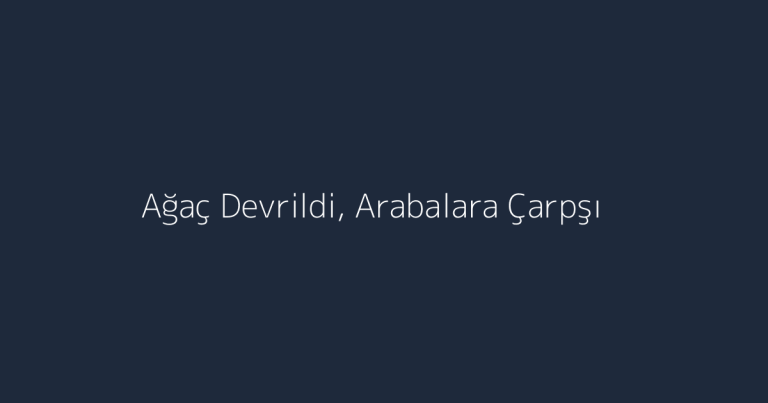Ağaç Devrildi, Arabalara Çarpşı