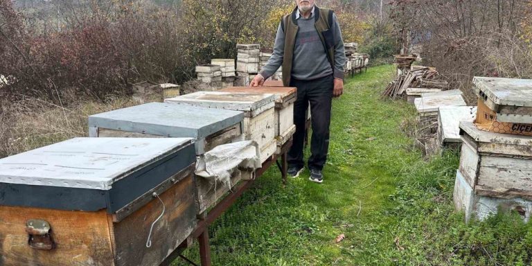 Arıların Kitlesel Ölümü: Zirai İlaç Milyonlarca Arının Ölümüne Neden Oldu
