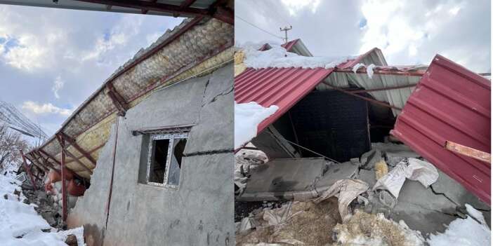 Hakkari’de Kar Nedeniyle Ahır Çöktü