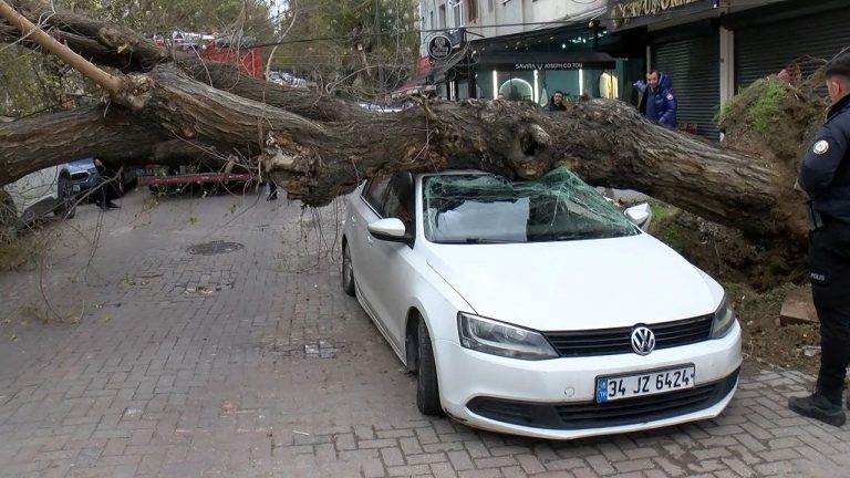 Güngören’de rüzgar kabusu: Ağaç araçlara devrildi