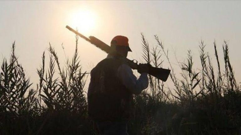 Köse’de avcılar çiftçiyi mağdur etti, yasak çağrısı