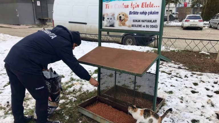 Taşköprü, soğukta hayvanları unutmadı