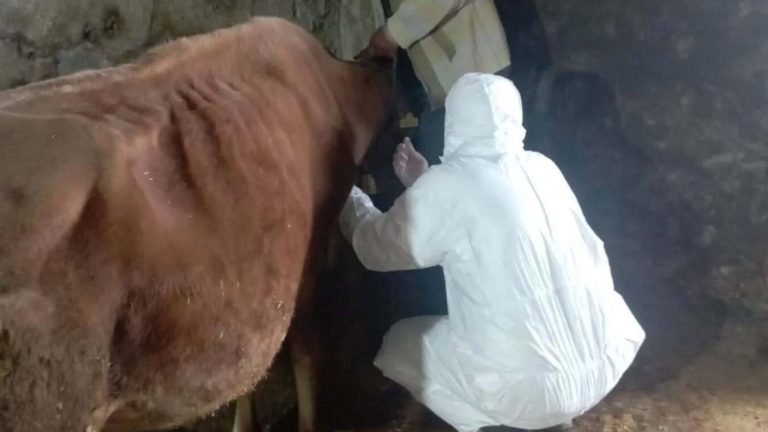 Giresun’da Kar Kış Dinlemeyen Müdahale