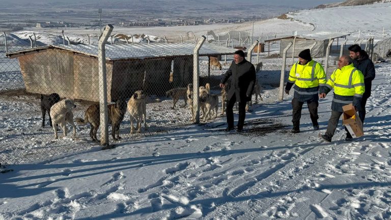Yerköy’de Modern Hayvan Bakımevi Açıldı