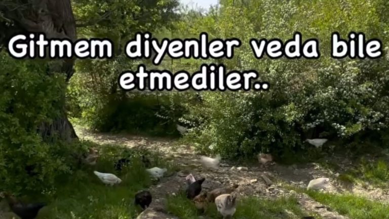 Bitlis’te Beş Minare Destanı