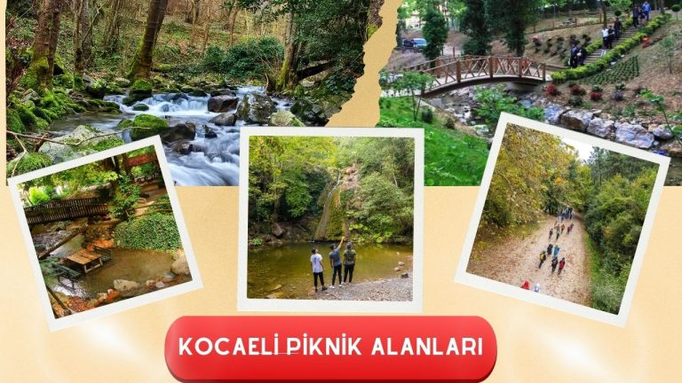Kocaeli’nin En Güzel Piknik Yerleri 2025 Rehberi