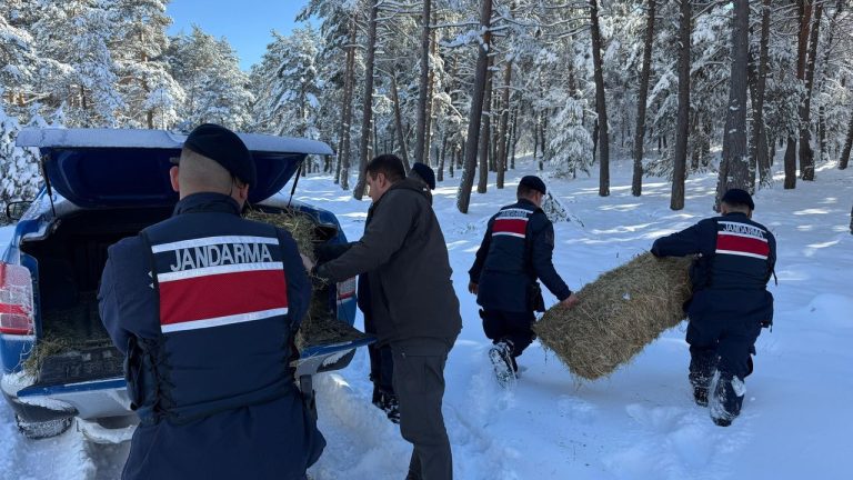 Tokat’ta yaban hayatı kar altında unutulmadı