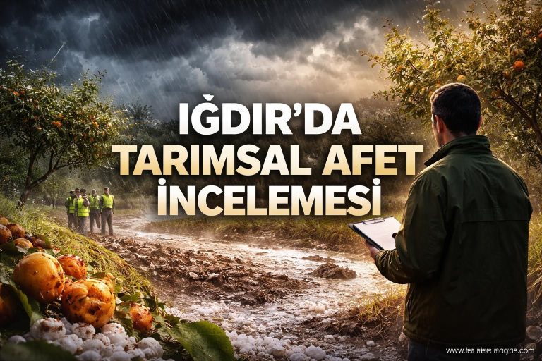 Iğdır’da Zirai Don ve Doğal Afet Zararları İncelendi