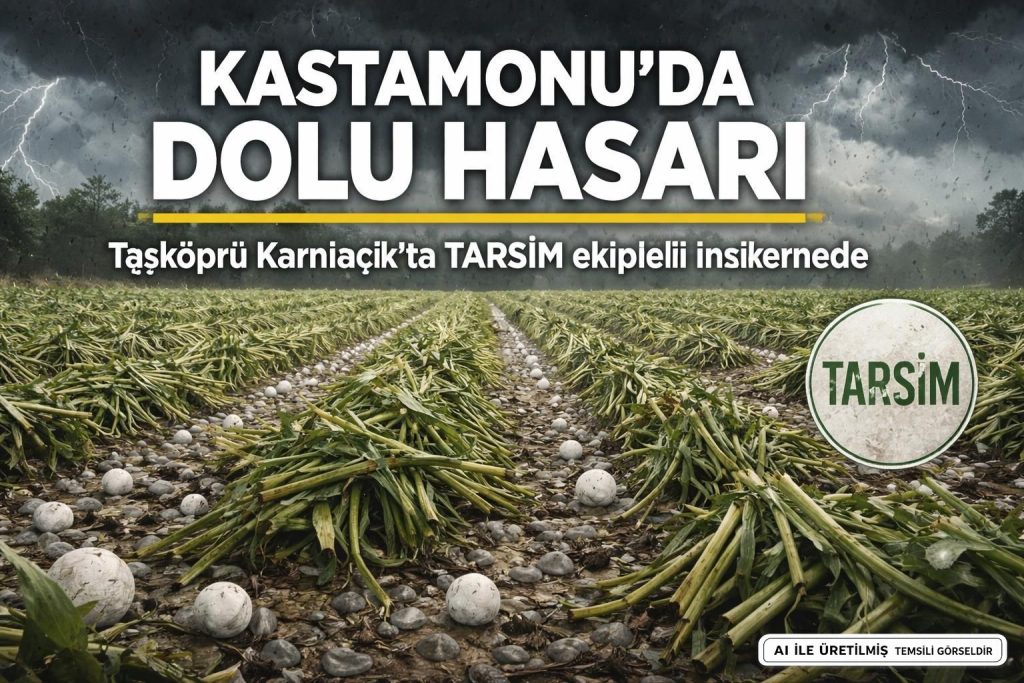 Kastamonu'da Dolu Yağışı Sonrası Tarım Hasarı Tespiti Başladı