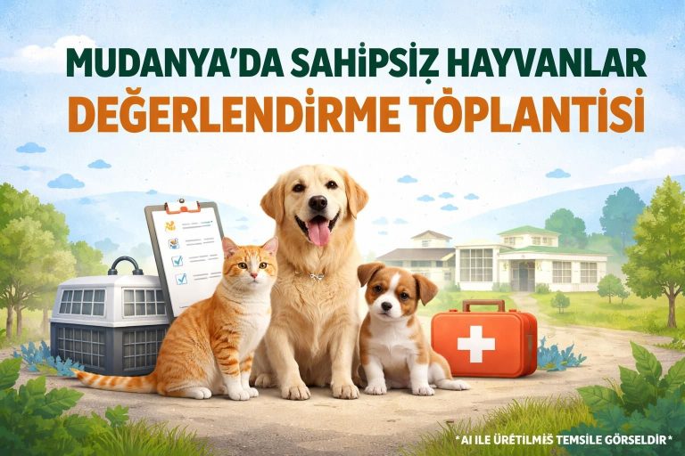 Mudanya’da Sahipsiz Hayvanlara Yönelik Koordinasyon Toplantısı Yapıldı